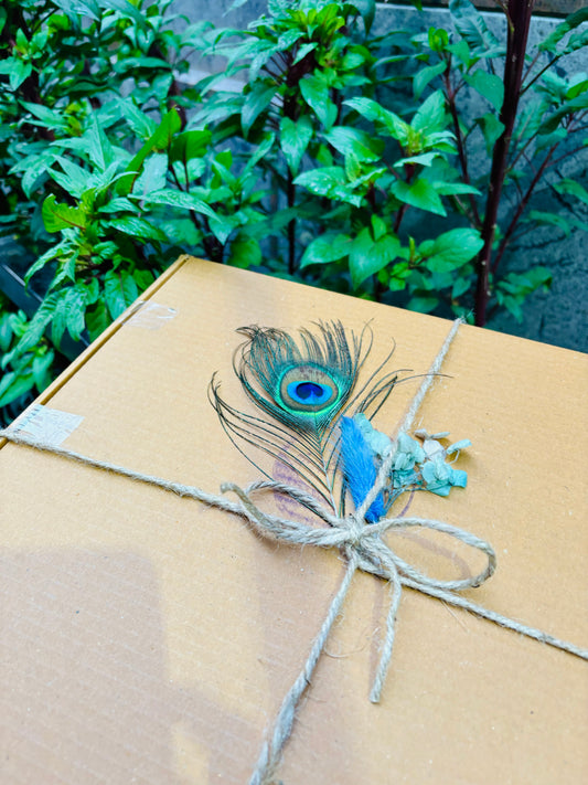 9’12 INCH PEACOCK PRESTIGE NAMEPLATE